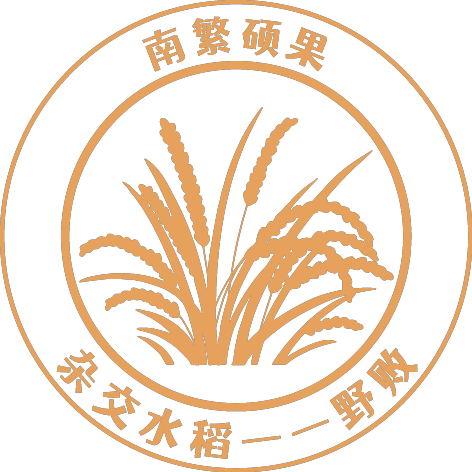 1699952353201592.png